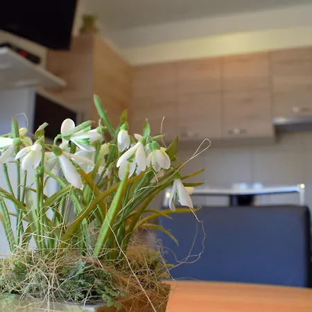 アパート Martina *