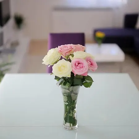 Martina ビビニェ